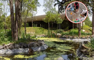 Exploradores del Bosque: talleres y excursiones gratis en Chapultepec para niños y adolescentes