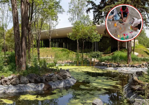 Exploradores del Bosque: talleres y excursiones gratis en Chapultepec para niños y adolescentes