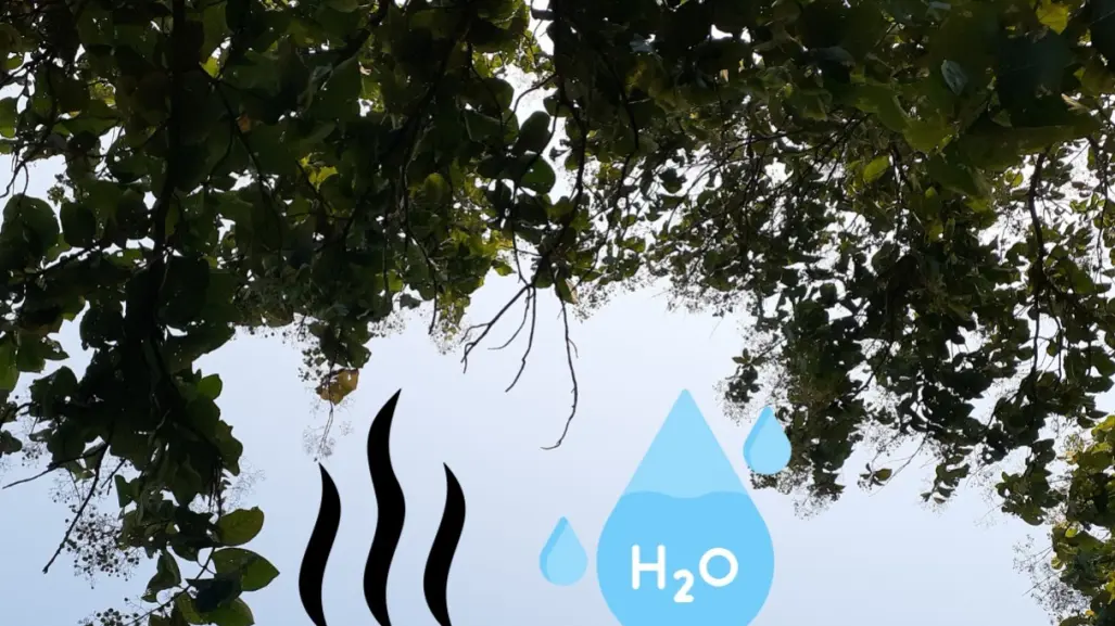 ¿Lluvias o calor? Así será el clima en Monterrey este martes 15 de julio