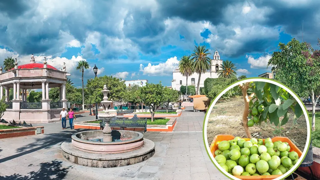 Esta es la carretera que te lleva de CDMX a la capital mundial de la guayaba en Aguascalientes