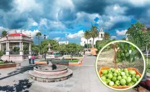 Esta es la carretera que te lleva de CDMX a la capital mundial de la guayaba en Aguascalientes