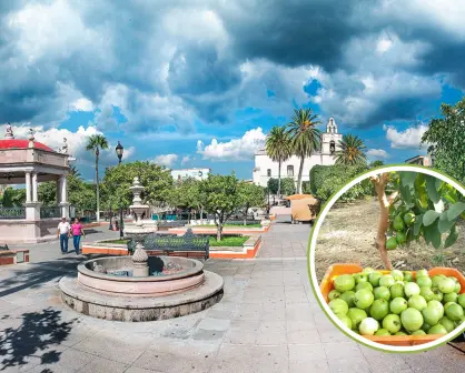 Esta es la carretera que te lleva de CDMX a la capital mundial de la guayaba en Aguascalientes