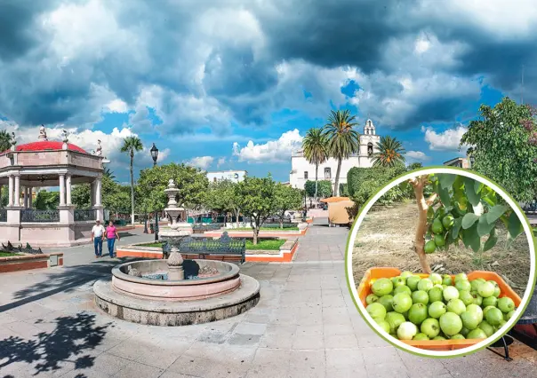 Esta es la carretera que te lleva de CDMX a la capital mundial de la guayaba en Aguascalientes