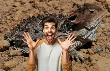 El animal nativo de Durango que parece salido de la época de los dinosaurios