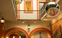 ¿Conocías este paraíso en Puebla? El destino cerca de CDMX con la mejor salsa de chinicuiles