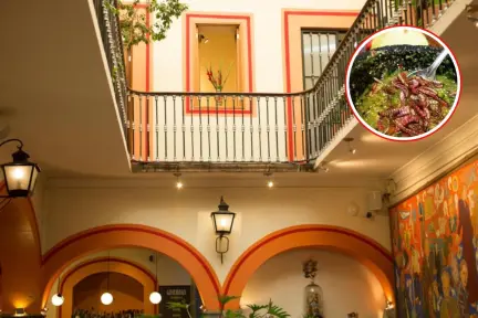 ¿Conocías este paraíso en Puebla? El destino cerca de CDMX con la mejor salsa de chinicuiles ¿Conocías este paraíso en Puebla? El destino cerca de CDMX con la mejor salsa de chinicuiles