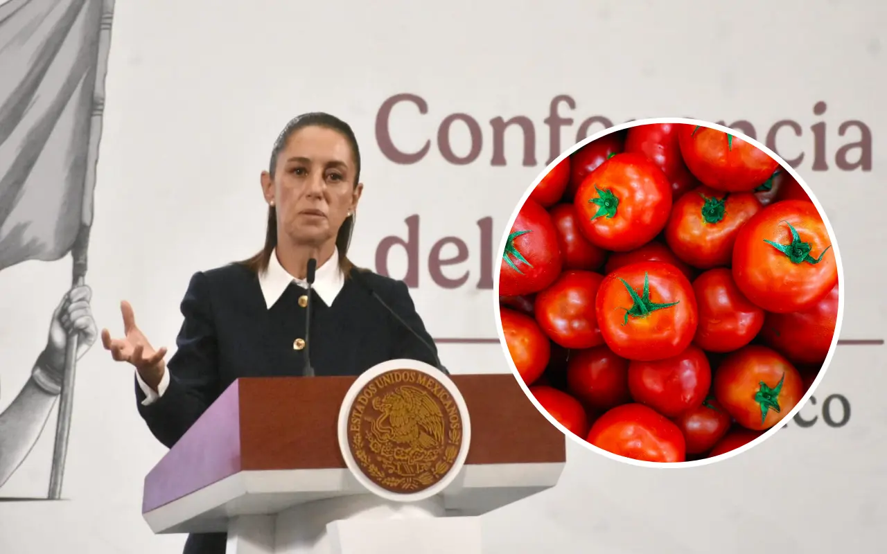 Claudia Sheinbaum y jitomates. Foto: Enrique Pérez Huerta / Canva