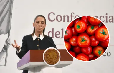 Claudia Sheinbaum prepara estrategia para jitomateros mexicanos por aranceles de EU