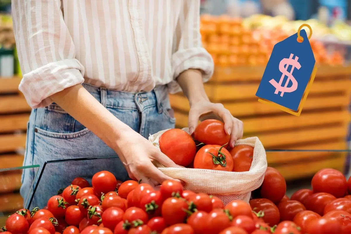 Persona metiendo jitomate en una bolsa con un signo de pesos en la parte superior. Foto: Freepick | Canva