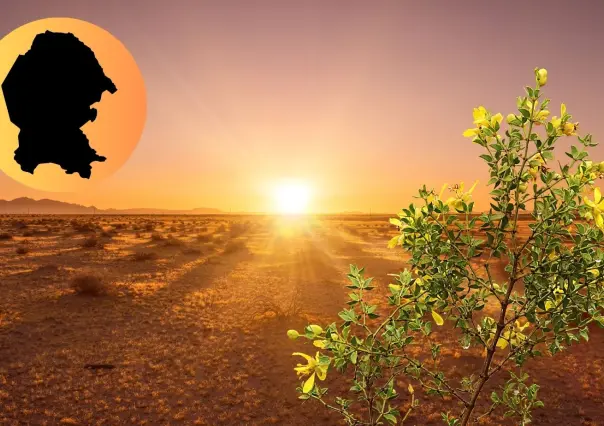 Estas son las 3 plantas que sobreviven mejor en el desierto de Coahuila según la IA