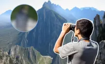 Este animal nativo de Nuevo León puede alcanzar los 320 km/h en pleno vuelo