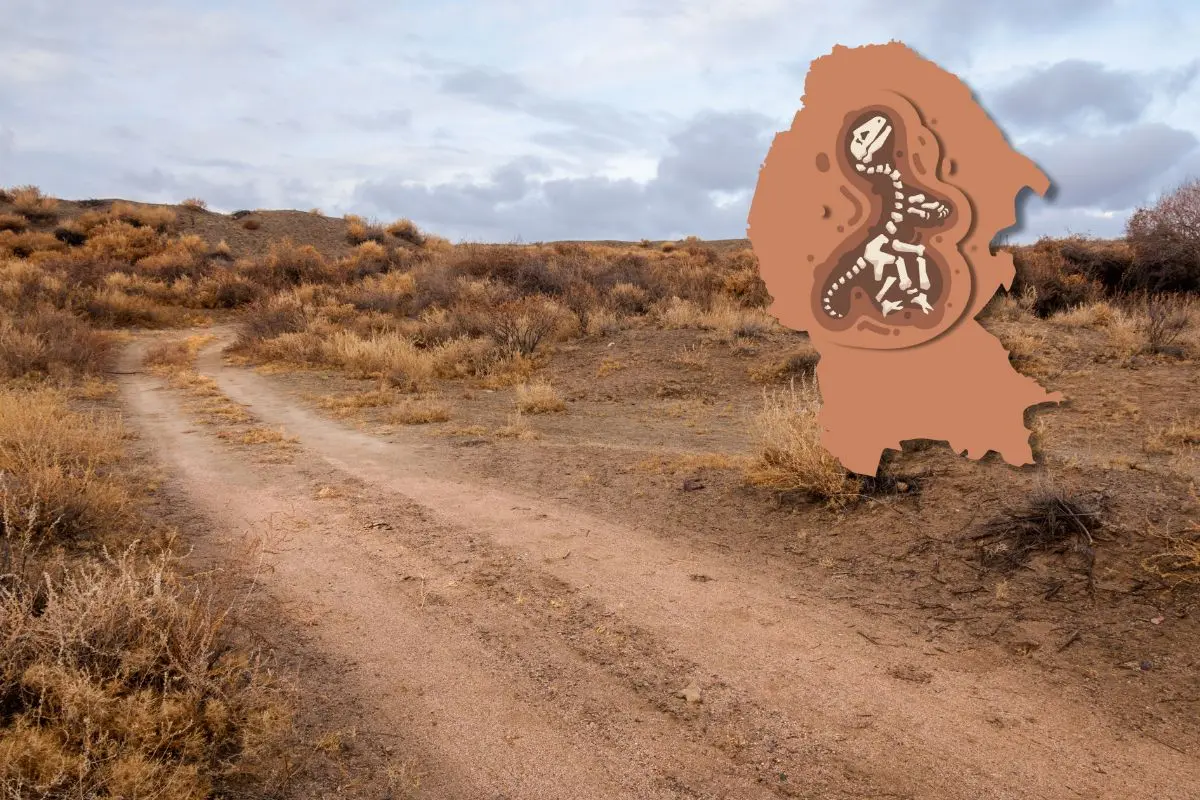 Este desierto de Coahuila alberga fósiles milenarios / Foto: Composición de Canva