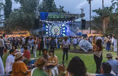 Gran Vendimia 2025: ¿qué hoteles aún tienen lugar cerca del festival?