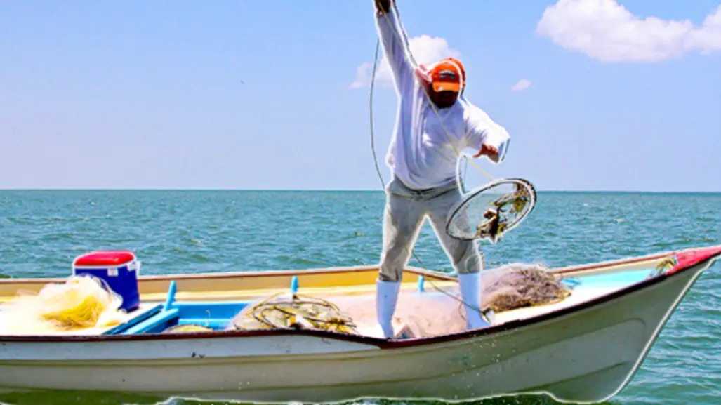 BCS ocupa el cuarto lugar nacional en la pesca de este pez clave para México