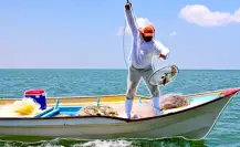 BCS ocupa el cuarto lugar nacional en la pesca de este pez clave para México