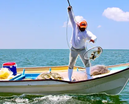 BCS ocupa el cuarto lugar nacional en la pesca de este pez clave para México