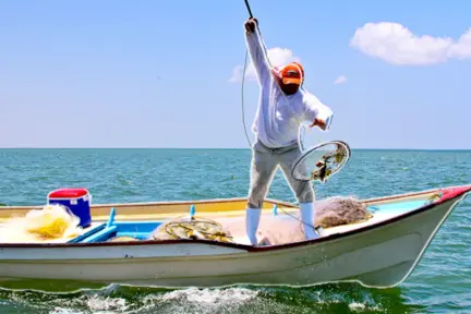 BCS ocupa el cuarto lugar nacional en la pesca de este pez clave para México BCS ocupa el cuarto lugar nacional en la pesca de este pez clave para México