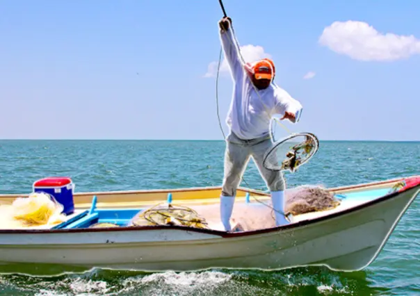 BCS ocupa el cuarto lugar nacional en la pesca de este pez clave para México