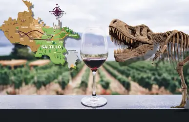 ¿Qué hace única a la Ruta Vinos & Dinos de Coahuila? La joya del turismo en el norte 