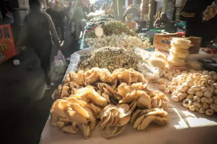 El tianguis más antiguo y grande del Edomex se instala junto a un volcán y tiene los mejores precios El tianguis más antiguo y grande del Edomex se instala junto a un volcán y tiene los mejores precios