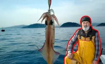 Pesca de calamar con causa en Santa Rosalía reúne premios por 70 mil pesos