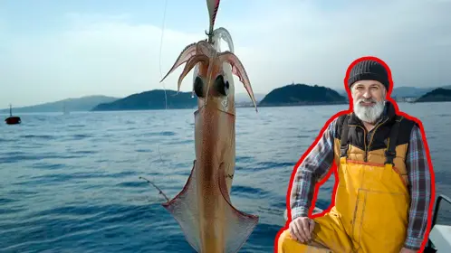 Pesca de calamar con causa en Santa Rosalía reúne premios por 70 mil pesos