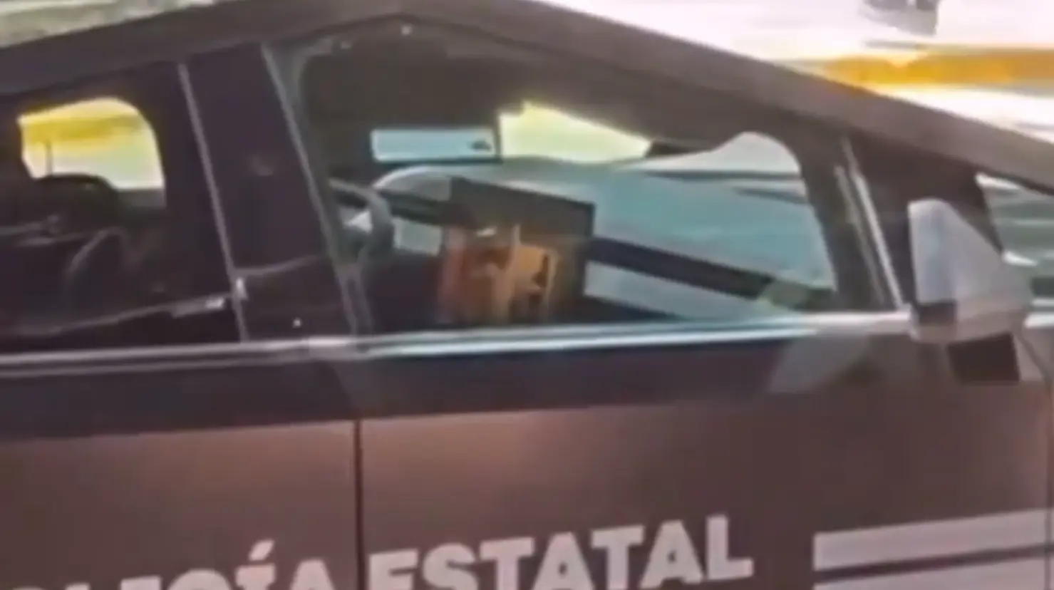 VIDEO | Captan a policías de Guadalajara viendo película en Cybertruck. Foto: X
