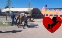 Caballos mágicos: 3 lugares de Durango que ofrecen equinoterapia