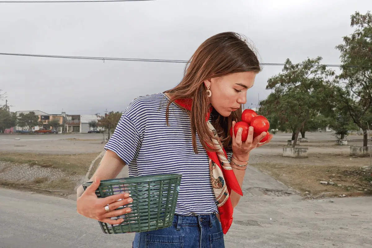 El mercadito se encuentra en una zona de fácil acceso en el municipio de Guadalupe. Foto: Canva.