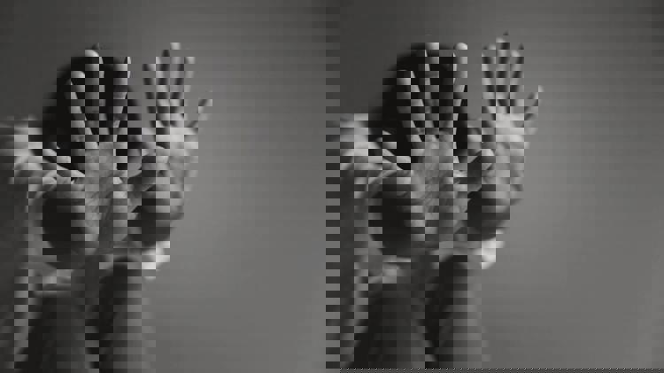 imagen-cuerpo imagen-cuerpo