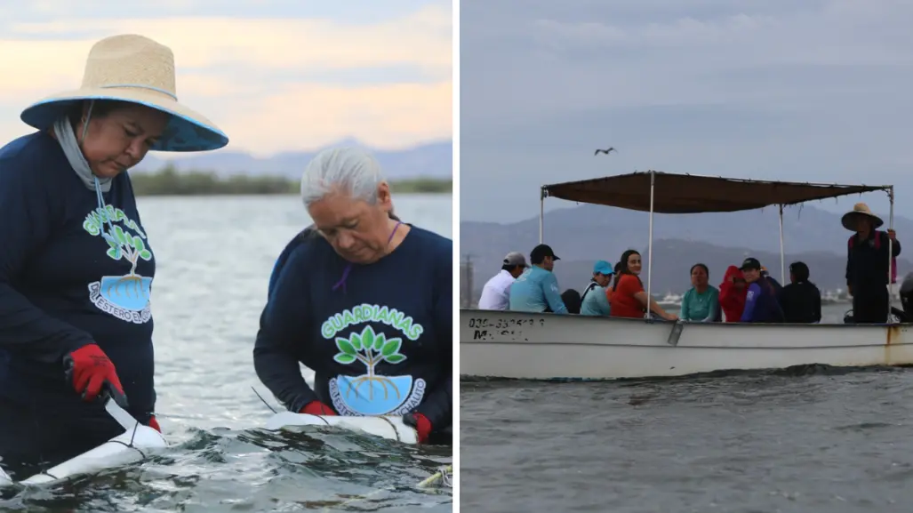 ¿Quiénes son las mujeres que están cambiando la pesca en BCS?
