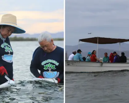 ¿Quiénes son las mujeres que están cambiando la pesca en BCS?