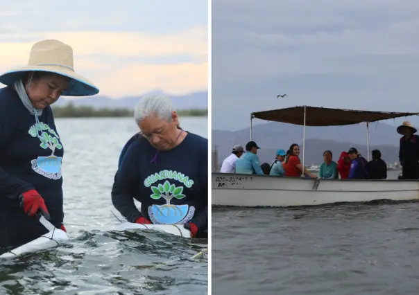 ¿Quiénes son las mujeres que están cambiando la pesca en BCS?