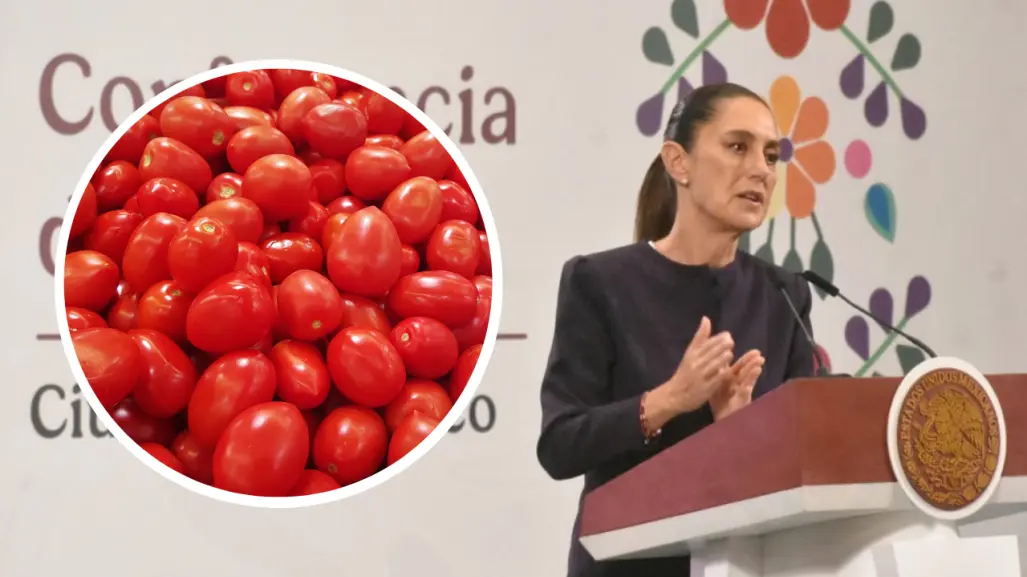 Jitomate mexicano va a seguir exportándose a EU pese a tarifa, insiste Claudia Sheinbaum