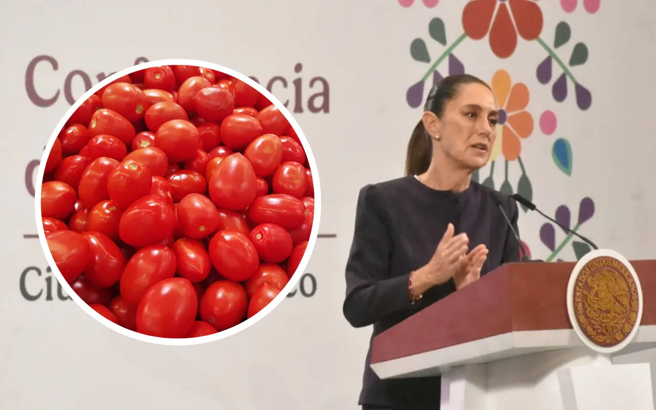 Claudia Sheinbaum y jitomate. Foto: Enrique Pérez Huerta / Canva