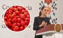 Jitomate mexicano va a seguir exportándose a EU pese a tarifa, insiste Claudia Sheinbaum