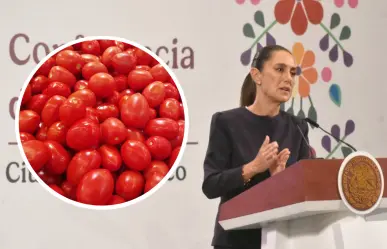 Jitomate mexicano va a seguir exportándose a EU pese a tarifa, insiste Claudia Sheinbaum