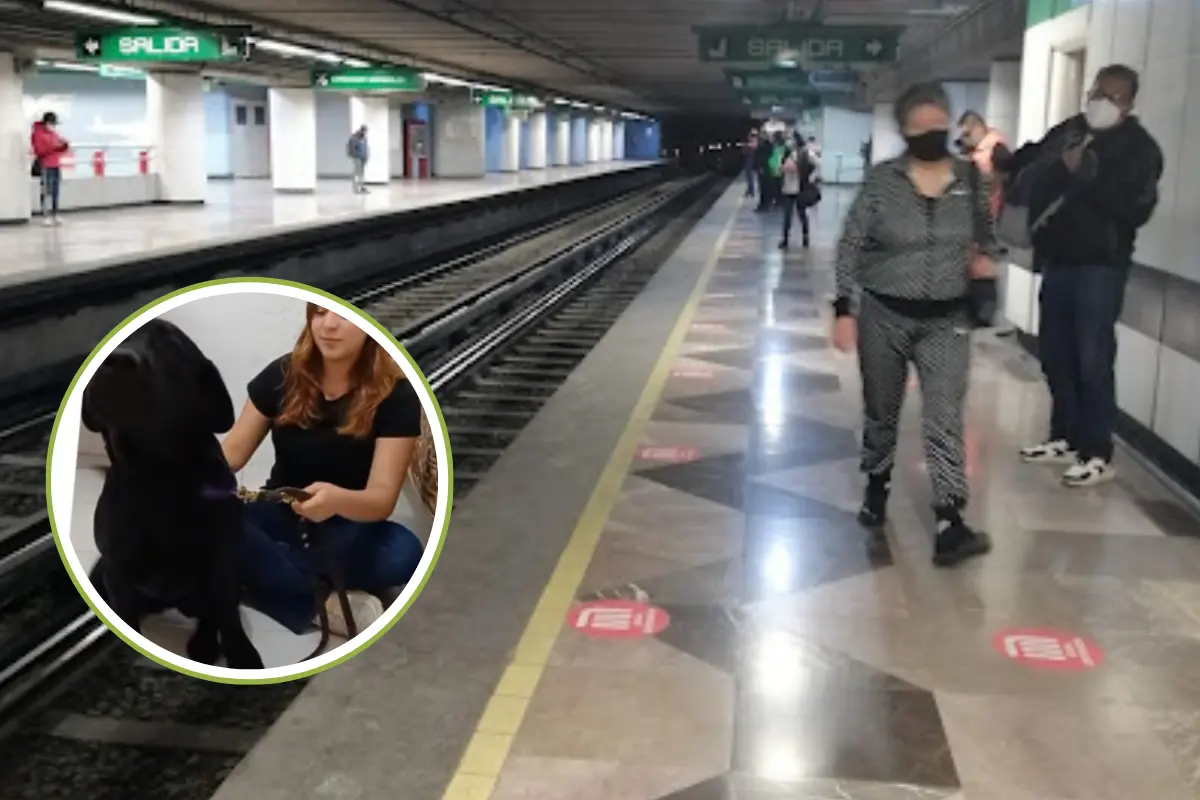 Perrito guía y estación del Metro Escuadrón 201 en CDMX. Foto: @perrosguia | Canva