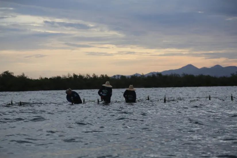 Foto: Guardianas del Conchalito