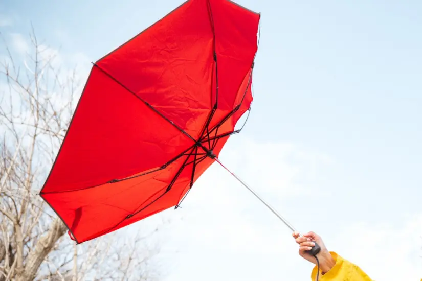 Pronóstico de vientos fuertes para Tamaulipas este 16 de julio. Foto: Freepik 
