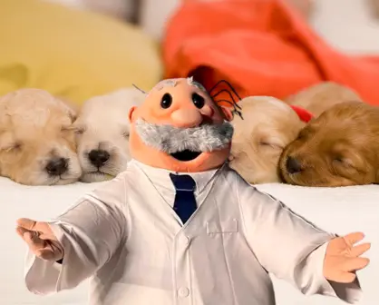 Veterinarias del Dr. Simi se expanden en CDMX y "Simi Pet Care" llega a estas colonias
