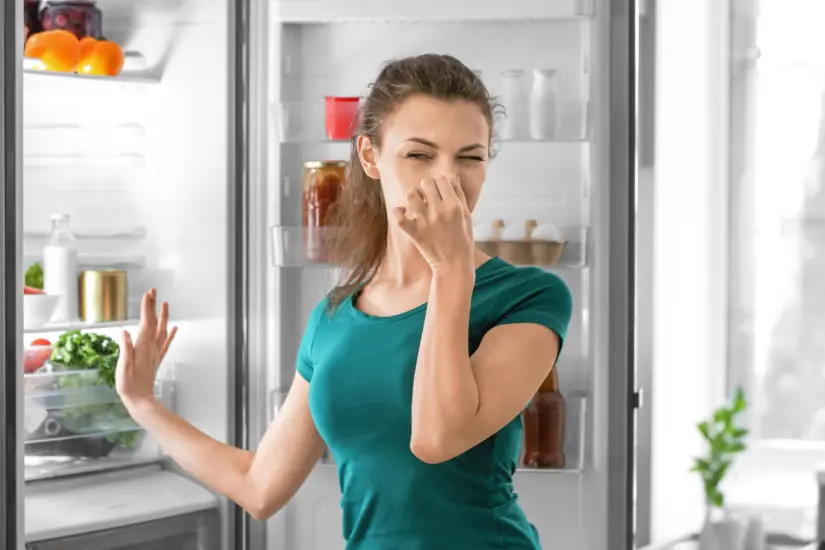Un refrigerador en condiciones adecuadas garantiza la frescura de los alimentos y contrarresta los olores indeseables en la cocina. Foto: Canva