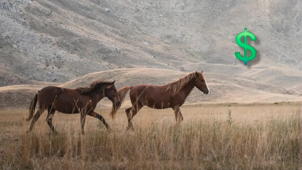 ¿Cuánto cuesta comprar un caballo en Durango? Estos son los precios en Marketplace