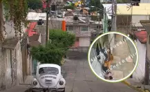 Mujer servía de escalón en robos y ruega llorando que no detengan a su pareja en la GAM