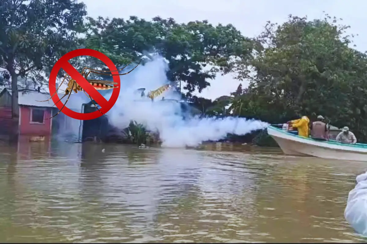 Pretenden se eviten enfermedades como el dengue, zika y chikungunya | Foto: Perla Herrera