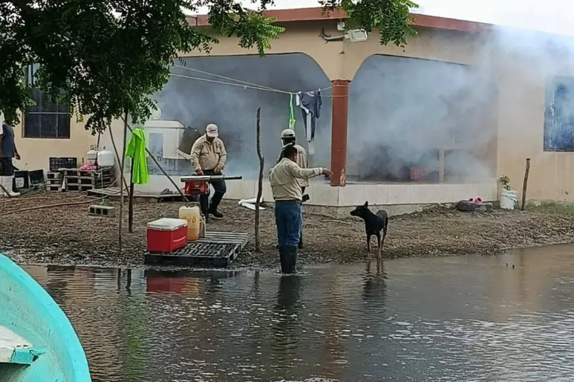Se está fumigando toda la margen del río Tamesí | Foto: Entidad 28