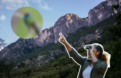Este es el animal nativo de Nuevo León que puedes ver en tu jardín todo el año