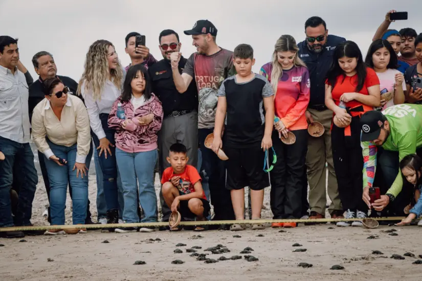 Liberando tortugas lora con el mayor de los cuidados | Foto: CPBT