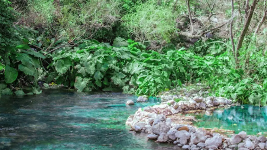 Este es el espacio histórico natural donde se encuentra uno de los ríos más hermosos de Tamaulipas
