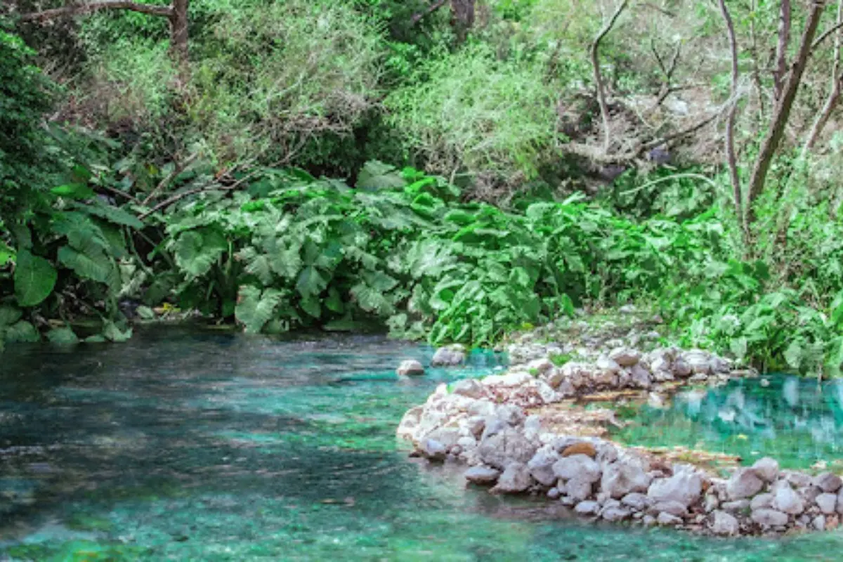 El cauce que atraviesa este paraje forma parte de la cuenca del río Guayalejo, y es tan limpio que se pueden ver los peces nadar entre las rocas. Foto: Turismo Tamaulipas